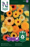 Tarhakehäkukka, väriseos, siemen, Nelson Garden - Kukkien siemenet - 7312600948761 - 1