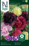 Tarhasalkoruusu 'Summer Carnival' siemen, Nelson Garden - Kukkien siemenet - 7312600954281 - 1