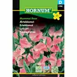Tuoksuherne, Lathyrus 'Mammut Rose', siemen, Hornum - Annossiemenet - 5708787017901 - 1