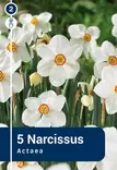 Valkonarsissi 'Actaea' 5 kpl - Syyssipulit - 8711148314561 - 1