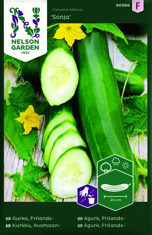 Avomaankurkku 'Sonja' siemen, Nelson Garden - Vihannesten siemenet - 7312600903661 - 1