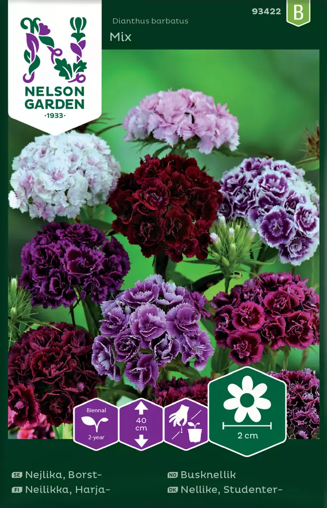 Harjaneilikka 'Mixed Double' siemenseos, Nelson Garden - Kukkien siemenet - 7312600934221 - 1