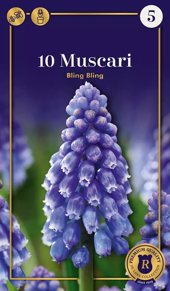 Helmililja ' Bling Bling' 10 kpl - Kukkasipulit - 8711148302971 - 1