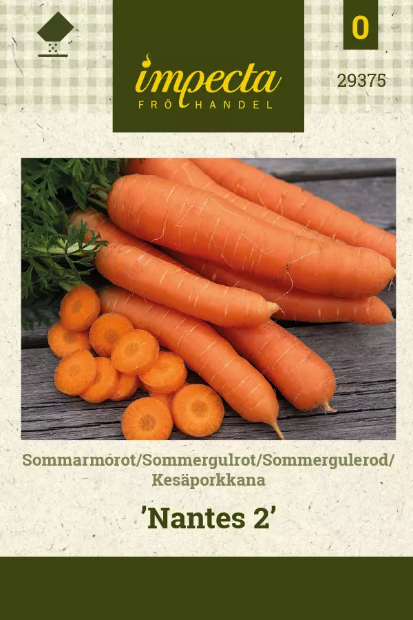 Kesäporkkana 'Nantes 2', siemen, Impecta - Vihannesten siemenet - 7332756293751 - 1
