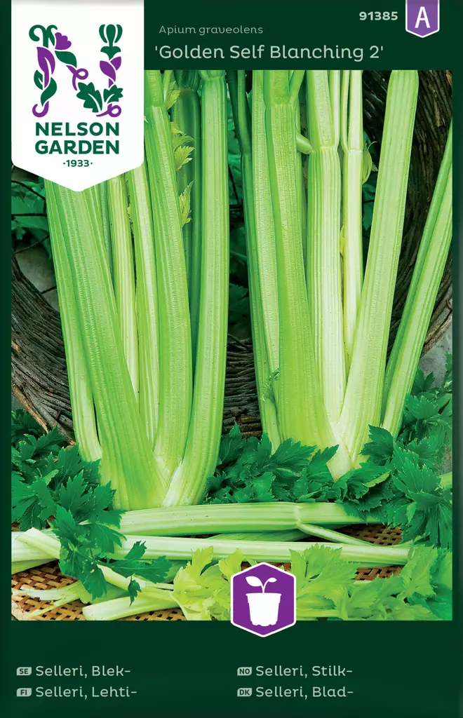 Lehtiselleri 'Golden Self Blanching 2' siemen, Nelson Garden - Vihannesten siemenet - 7312600913851 - 1