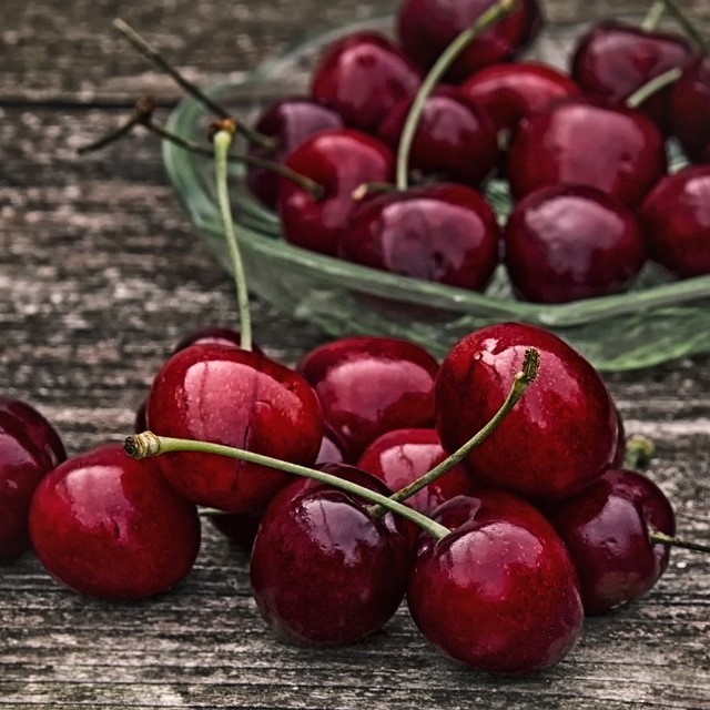 Makeakirsikkapuu 'Leningradin Musta' - Kirsikkapuut, persikkapuut - 6419344140251 - 1