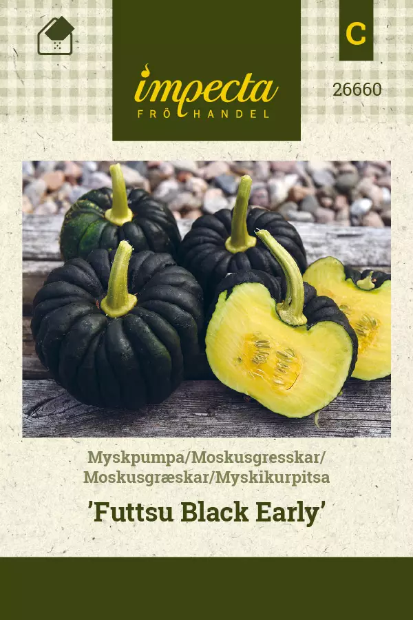 Myskikurpitsa 'Futtsu Black Early', siemen, Impecta - Annossiemenet - 7332756266601 - 1