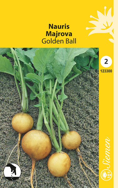 Nauris 'Golden Ball' siemen Schetelig - Annossiemenet - 6415151233001 - 1