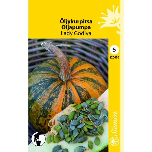 Öljykurpitsa 'Lady Godiva', siemen, Schetelig - Annossiemenet - 6415151204001 - 1