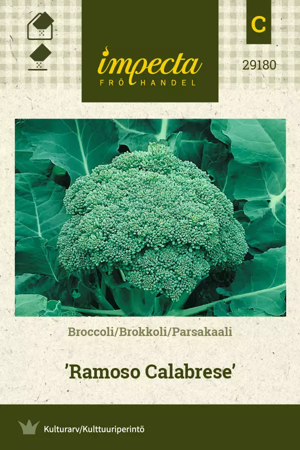 Parsakaali 'Ramoso Calabrese', siemen, Impecta - Vihannesten siemenet - 7332756291801 - 1