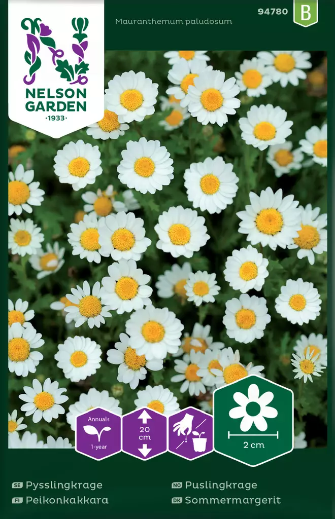 Peikonkakkara siemen, Nelson Garden - Kukkien siemenet - 7312600947801 - 1