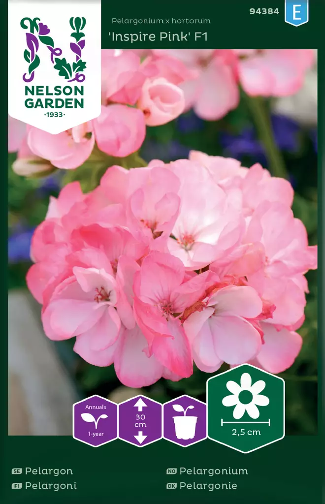 Pelargoni 'Inspire Pink' F1 siemen, Nelson Garden - Kukkien siemenet - 7312600943841 - 1