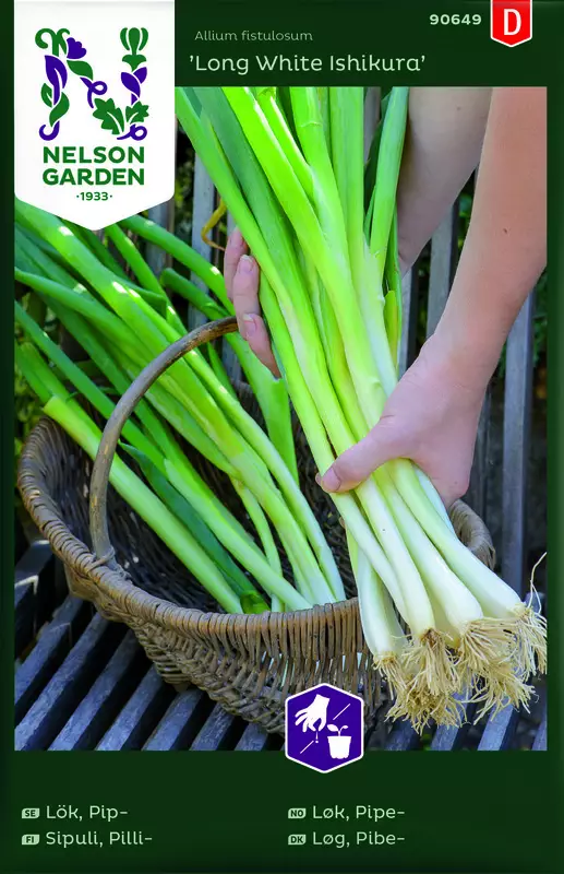 Pillisipuli 'Long White Ishikura' siemen, Nelson Garden - Vihannesten siemenet - 7323600906491 - 1