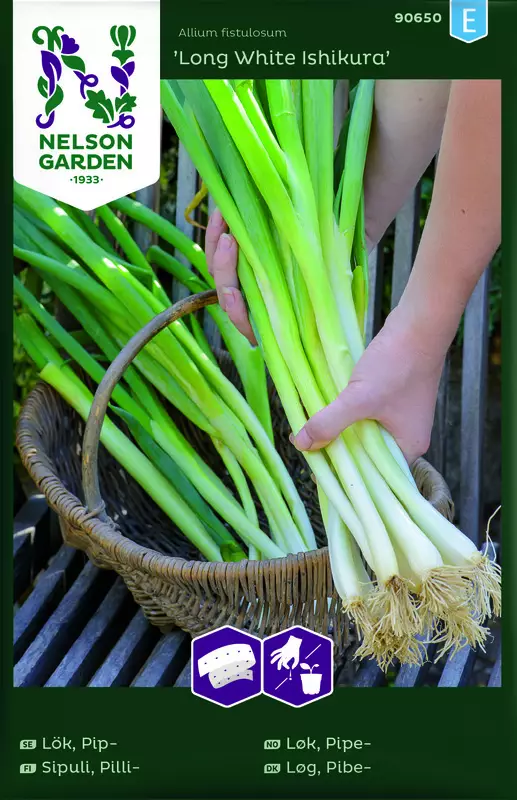 Pillisipuli 'Long White Ishikura' kylvönauha, Nelson Garden - Vihannesten siemenet - 7312600906501 - 1