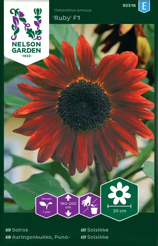 Puna-auringonkukka 'Ruby' F1 siemen, Nelson Garden - Kukkien siemenet - 7312600953161 - 1