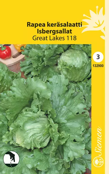 Rapea keräsalaatti 'Great Lakes 118', siemen, Schetelig - Annossiemenet - 6415151329001 - 1