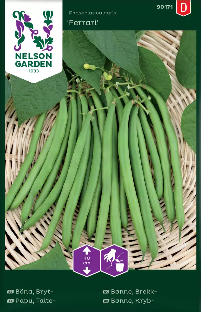 Taitepapu 'Ferrari' siemen, Nelson Garden - Vihannesten siemenet - 7312600901711 - 1