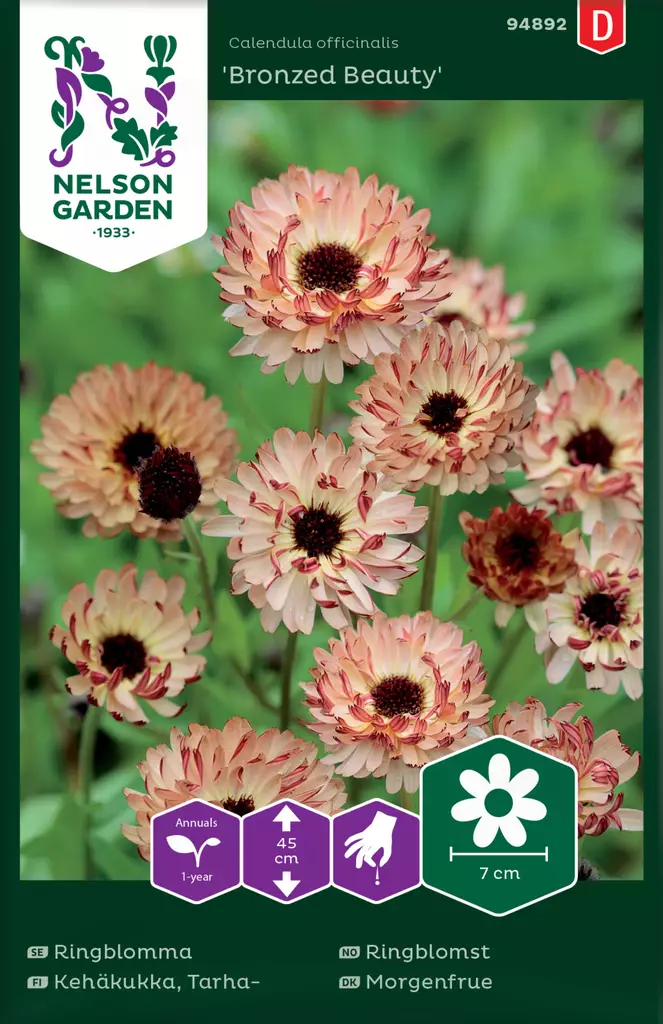 Tarhakehäkukka 'Bronzed Beauty' siemen, Nelson Garden - Kukkien siemenet - 7312600948921 - 1