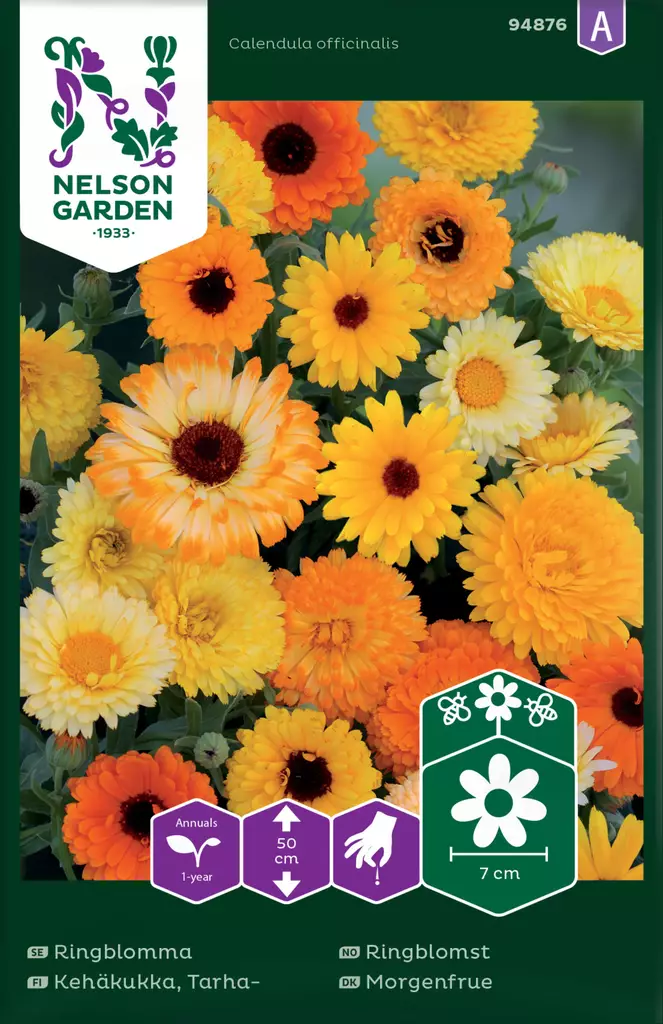 Tarhakehäkukka, väriseos, siemen, Nelson Garden - Kukkien siemenet - 7312600948761 - 1