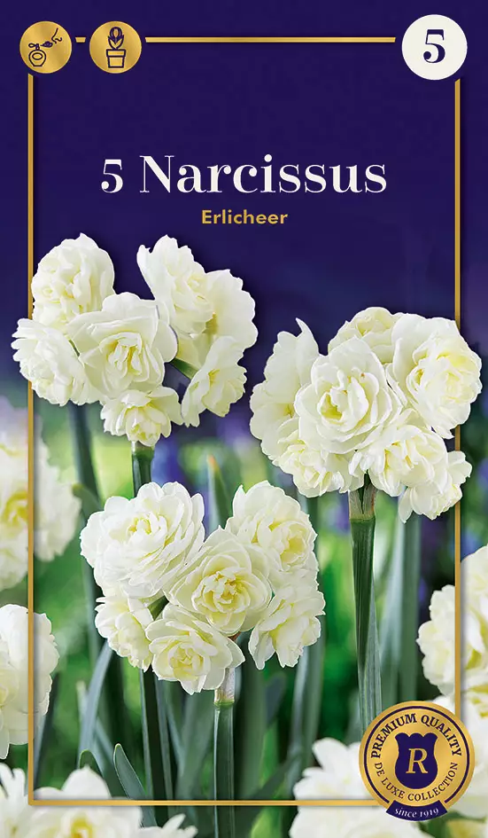 Tasetti 'Erlicheer' 5 kpl - Syyssipulit - 8711148247531 - 1