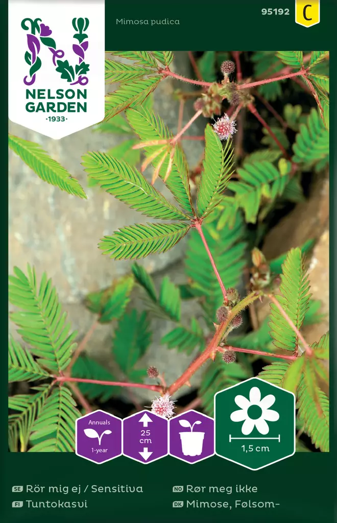 Tuntokasvi siemen, Nelson Garden - Kukkien siemenet - 7312600951921 - 1