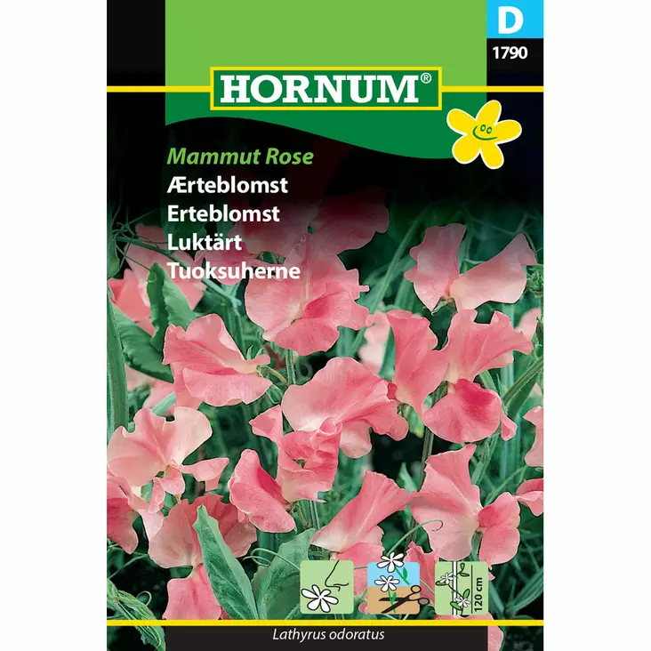 Tuoksuherne, Lathyrus 'Mammut Rose', siemen, Hornum - Annossiemenet - 5708787017901 - 1