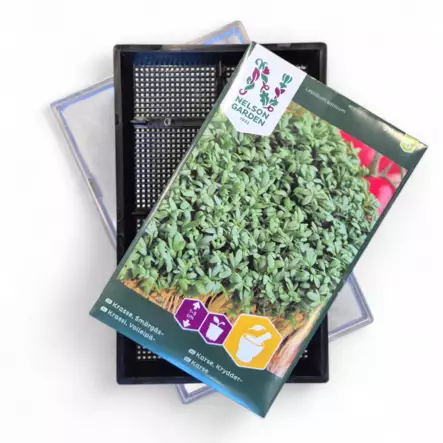 Idätyspaketti: alusta + 16 g voileipäkrassin siemeniä, Nelson Garden - Kylvötarvikkeet - 7312600156722 - 1