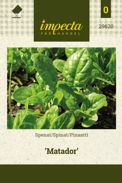 Pinaatti 'Matador', siemen, Impecta - Vihannesten siemenet - 7332756296202 - 1