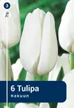 Darwinhybriditulppaani 'Hakuun' 6 kpl - Syyssipulit - 8711148234982 - 1