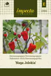 Havannapaprika 'Naga Jolokia', Impecta - Vihannesten siemenet - 7332756239612 - 1
