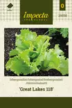 Jäävuorisalaatti ' Great Lakes 118', siemen, Impecta - Vihannesten siemenet - 7332756295502 - 1