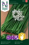 Kiinansipuli siemen, Nelson Garden - Vihannesten siemenet - 7312600903142 - 1