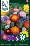 Kuivakukka siemenseos, Nelson Garden - Kukkien siemenet - 7312600932722 - 1