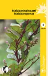 Malabarinpinaatti siemen Schetelig - Annossiemenet - 6415151267402 - 1