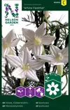 Miinanköynnös 'White Feather' siemen, Nelson Garden - Kukkien siemenet - 7312600958692 - 1
