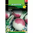 Nauris, Brassica 'Ronde Witte Roodkop', siemen, Hornum - Annossiemenet - 5708787013682 - 1