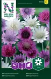 Paperikukka siemen, Nelson Garden - Kukkien siemenet - 7312600943322 - 1