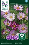 Punakosmoskukka 'Candy Stripe' siemen, Nelson Garden - Kukkien siemenet - 7312600950122 - 1