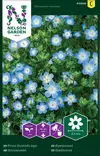 Sinisievikki siemen, Nelson Garden - Kukkien siemenet - 7312600946682 - 1