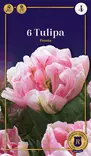 Tarhatulppaani 'Finola' 6 kpl - Syyssipulit - 8711148317012 - 1