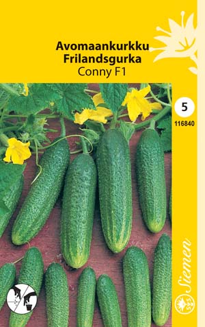Avomaankurkku 'Conny F1', siemen, Schetelig - Annossiemenet - 6415151168402 - 1