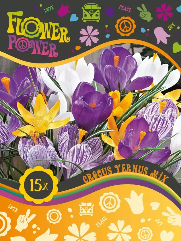 Flower Power Kevätsahrami- eli krookussekoitus 15 kpl - Syyssipulit - 8711148241812 - 1