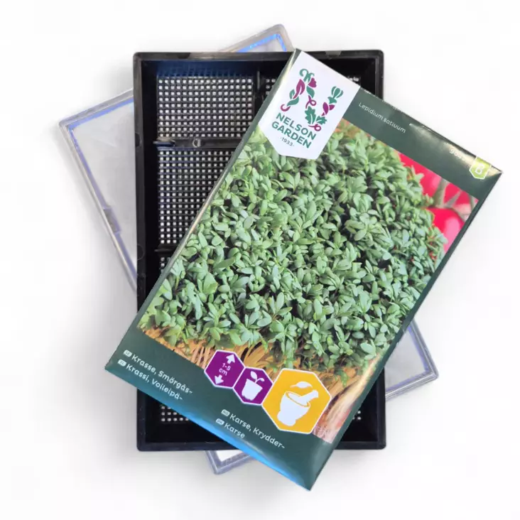 Idätyspaketti: alusta + 16 g voileipäkrassin siemeniä, Nelson Garden - Kylvötarvikkeet - 7312600156722 - 1