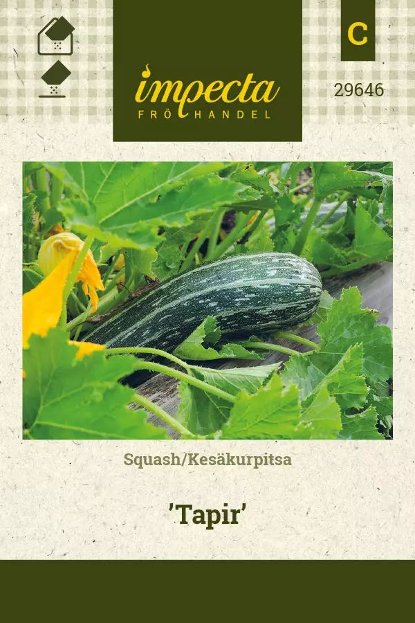 Kesäkurpitsa 'Tapir', siemen, Impecta - Annossiemenet - 7332756296462 - 1