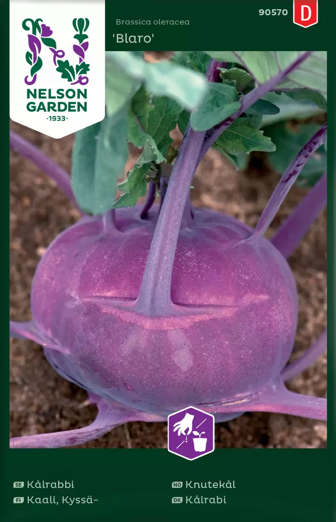 Kyssäkaali 'Blaro' siemen, Nelson Garden - Vihannesten siemenet - 7312600905702 - 1