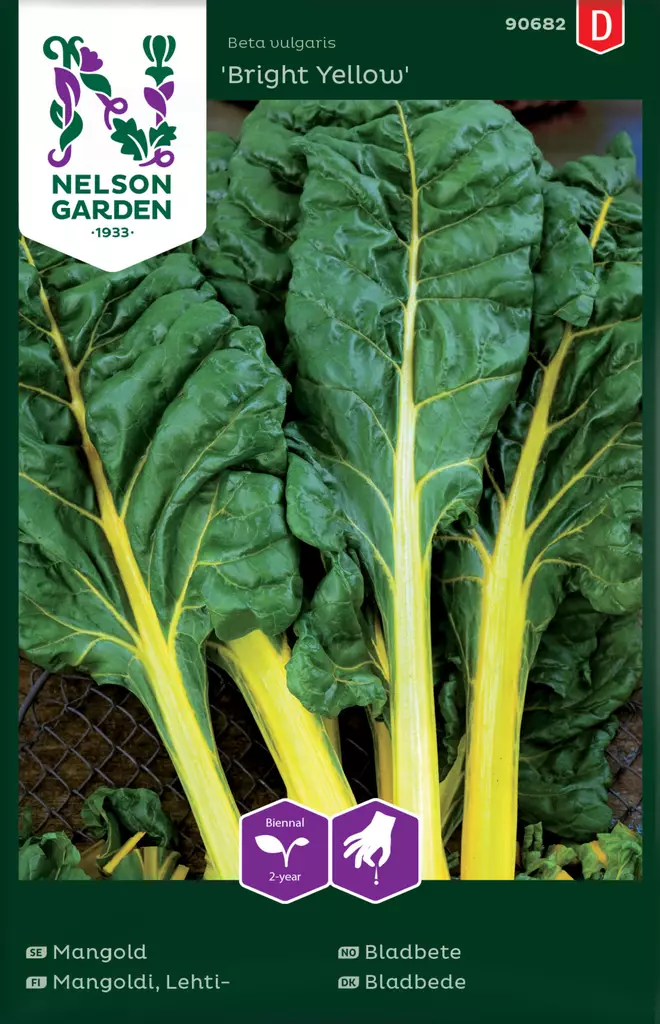 Lehtimangoldi 'Bright Yellow' siemen, Nelson Garden - Vihannesten siemenet - 7312600906822 - 1