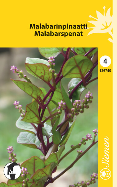 Malabarinpinaatti siemen Schetelig - Annossiemenet - 6415151267402 - 1