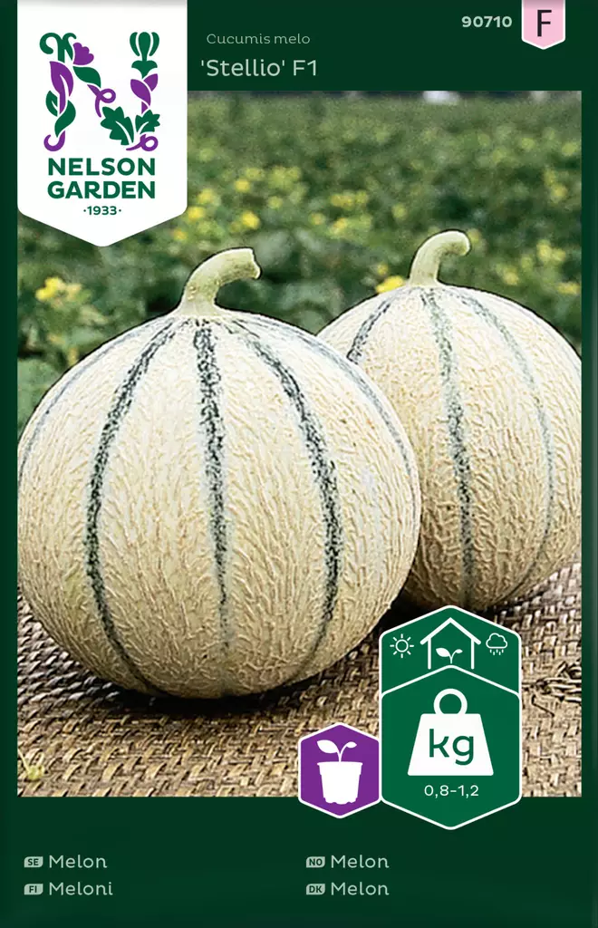 Meloni 'Stellio' F1 siemen, Nelson Garden - Vihannesten siemenet - 7312600907102 - 1