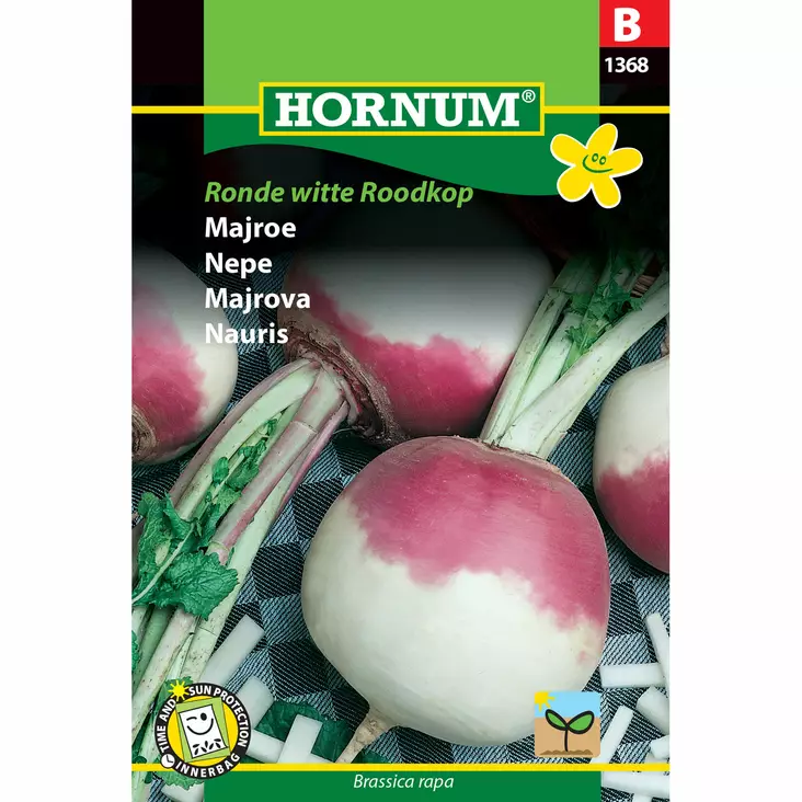 Nauris, Brassica 'Ronde Witte Roodkop', siemen, Hornum - Annossiemenet - 5708787013682 - 1
