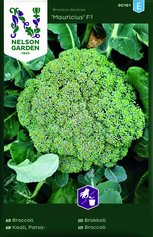 Parsakaali 'MAuricius' F1 siemen, Nelson Garden - Vihannesten siemenet - 7312600901612 - 1